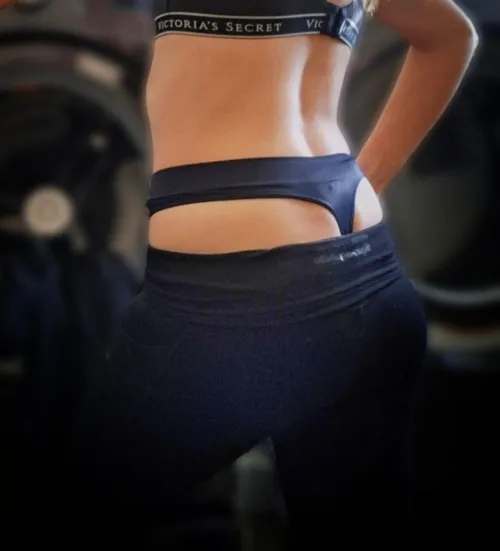 Saturday morning whaletail