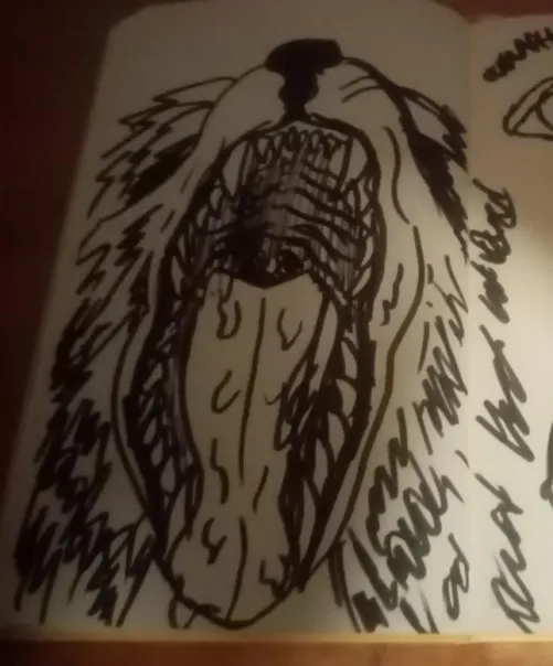 Scetch I made