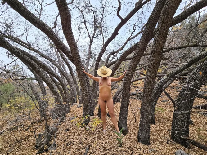 Scrub Oaks in the Prescott National Forest