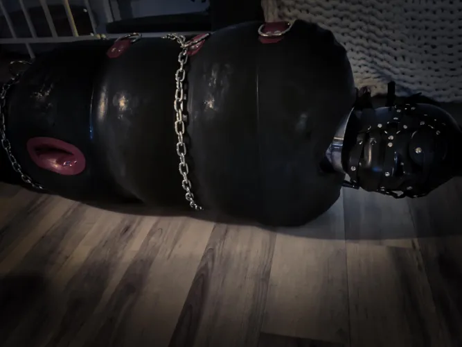 Sealed. Weighted. Quiet.