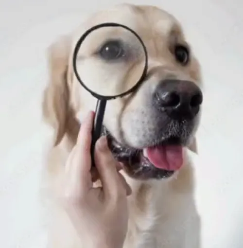 Searching for specific slop