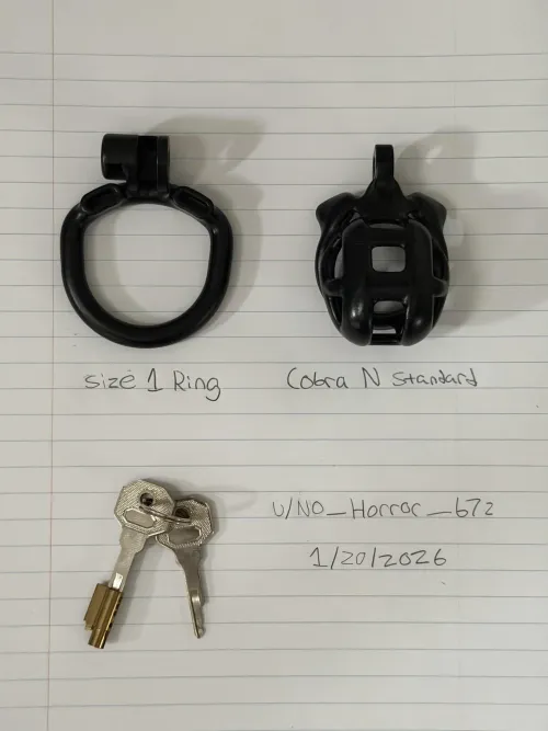(SELL) (USA) Cobra N (Standard), Size 1 Ring, and Keys