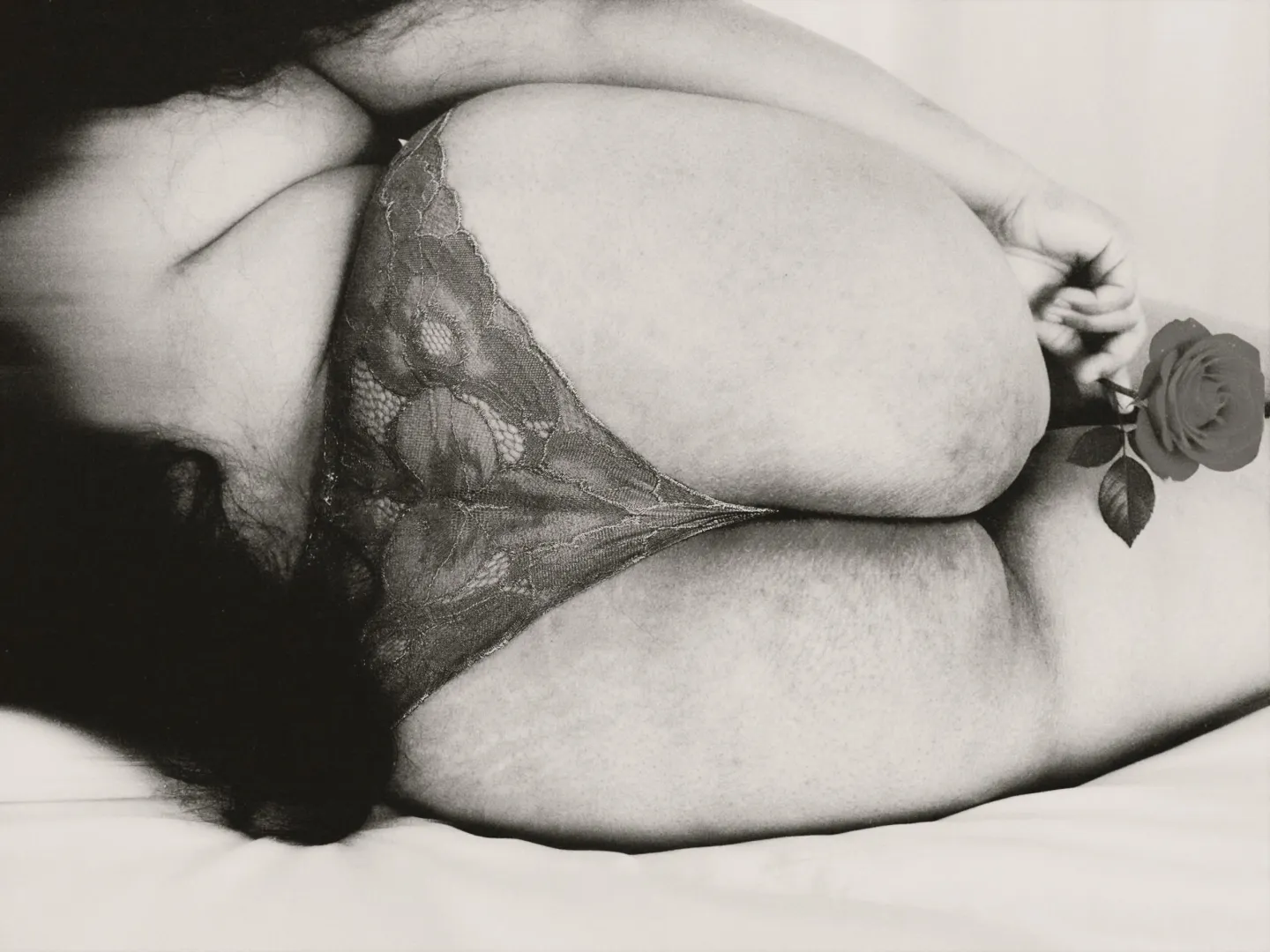 Sexy curves in full bloom