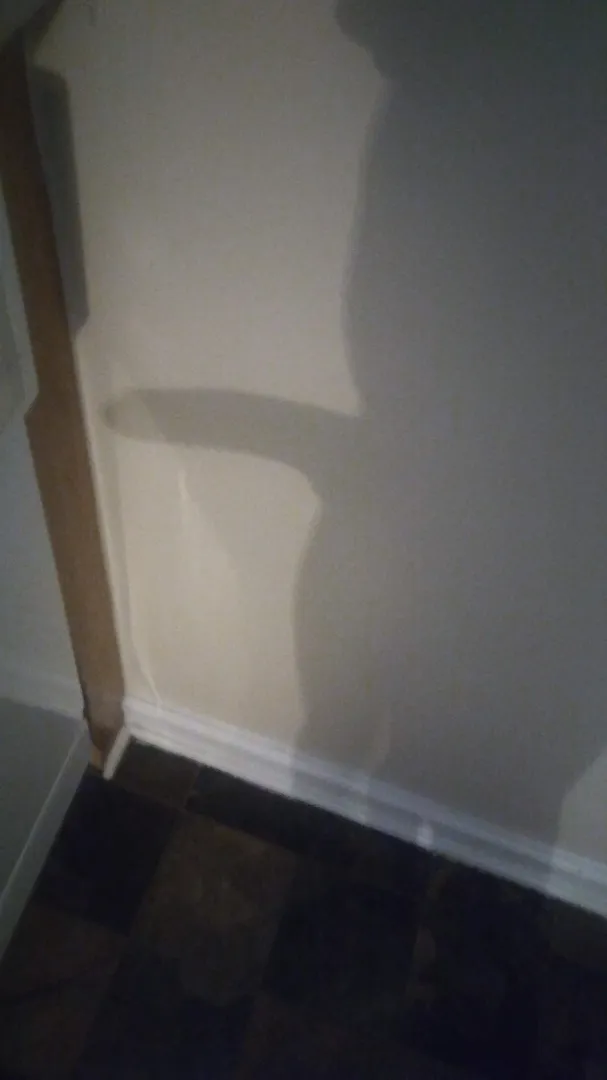 Shadow can you see