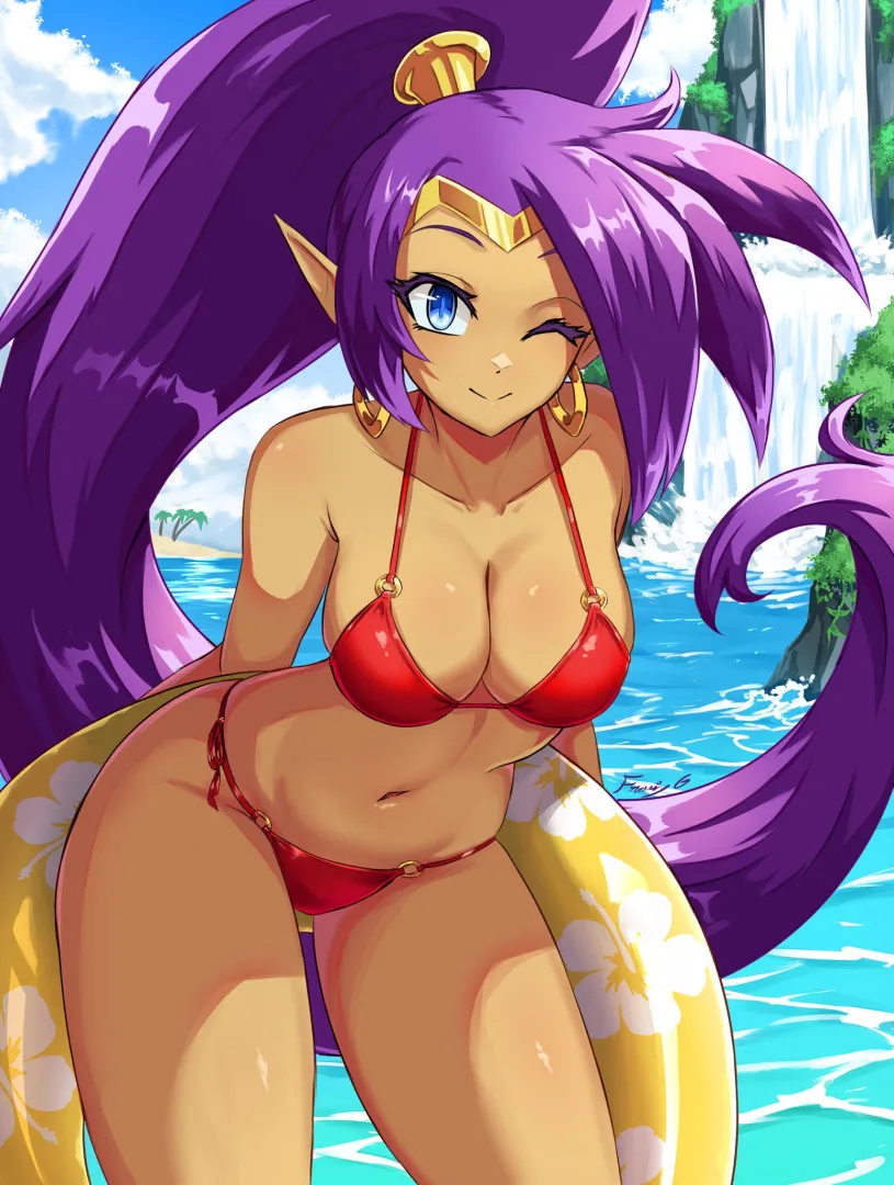 Shantae's Bikini [Shantae]