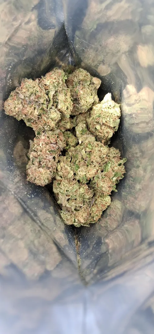 Sherbanger-Lucky Elk