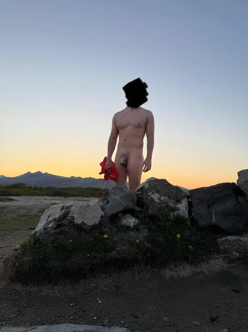 Should we let him out? 