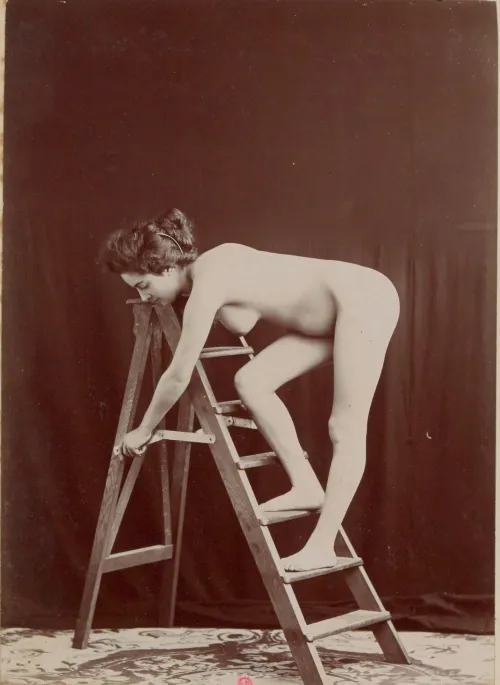 Sir, I have instructed staff to decorate the hall with paper chains and festive frivolity.  Following last year's unpleasantness (Lady B___ did walk in when a naked maid Frances sat upon my shoulders so to reach the highest candelabra) I have supplied t