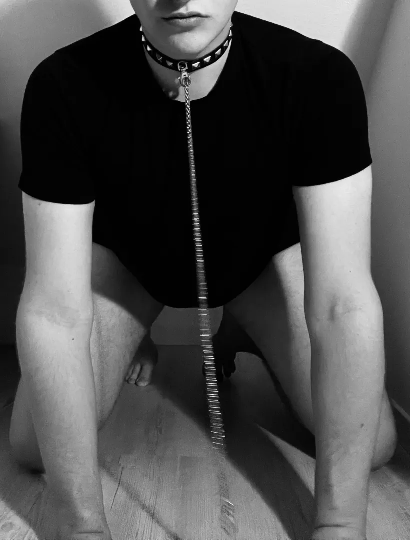 Sklave M19 sucht Herrin