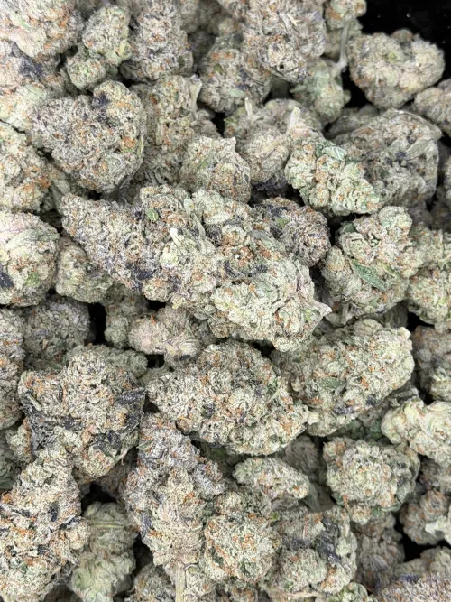 Slap N Tickle fresh in at Elevate NC⛽️