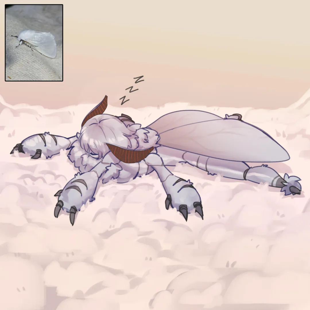 Sleepy Moth (Warl Granada)