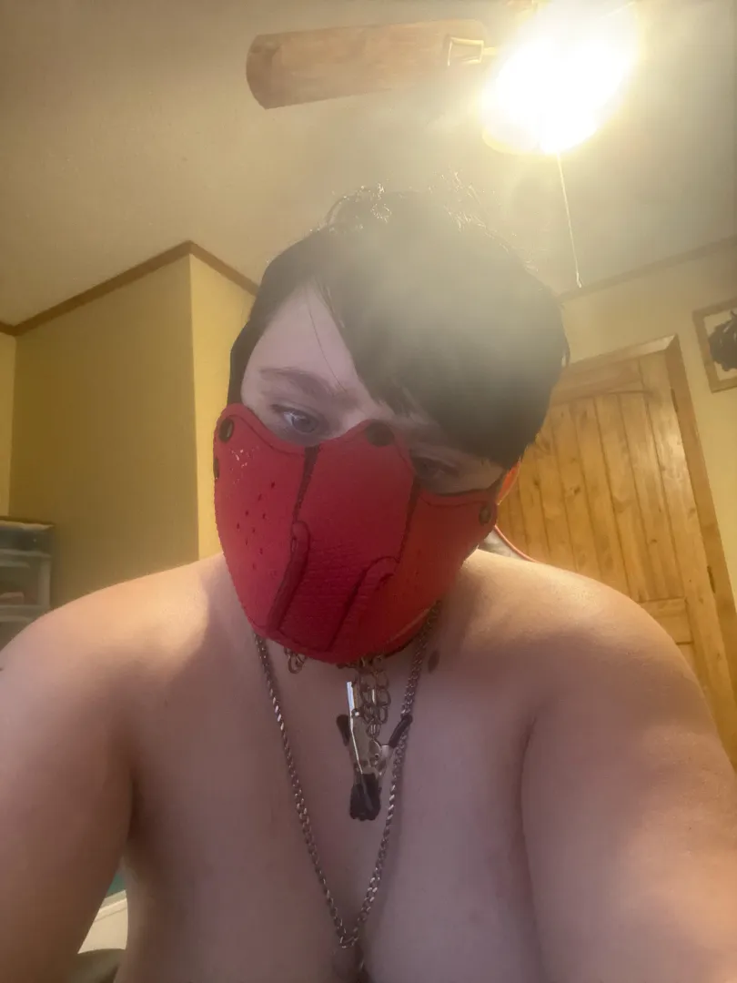 Sleepy pup in the mood