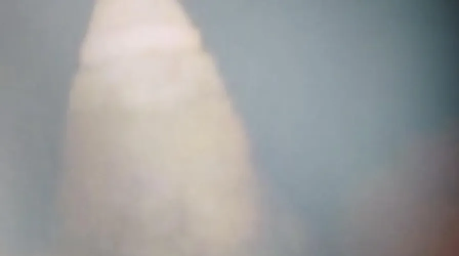 small black disappointing dick