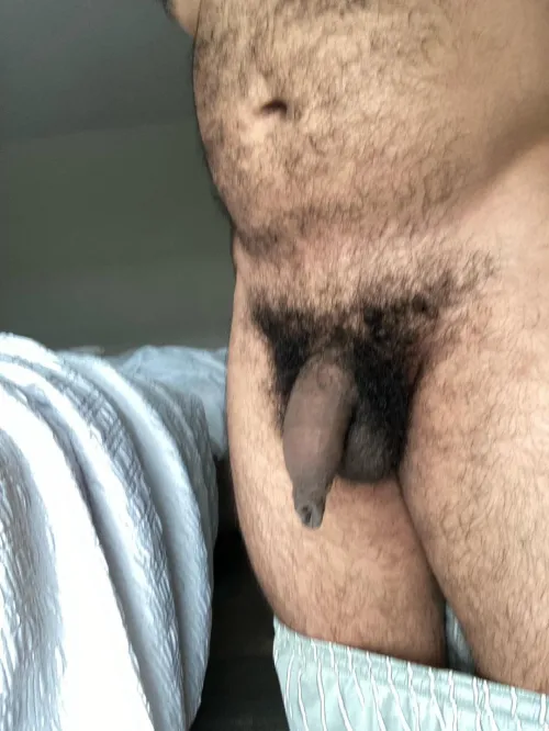 Small hairy uncut