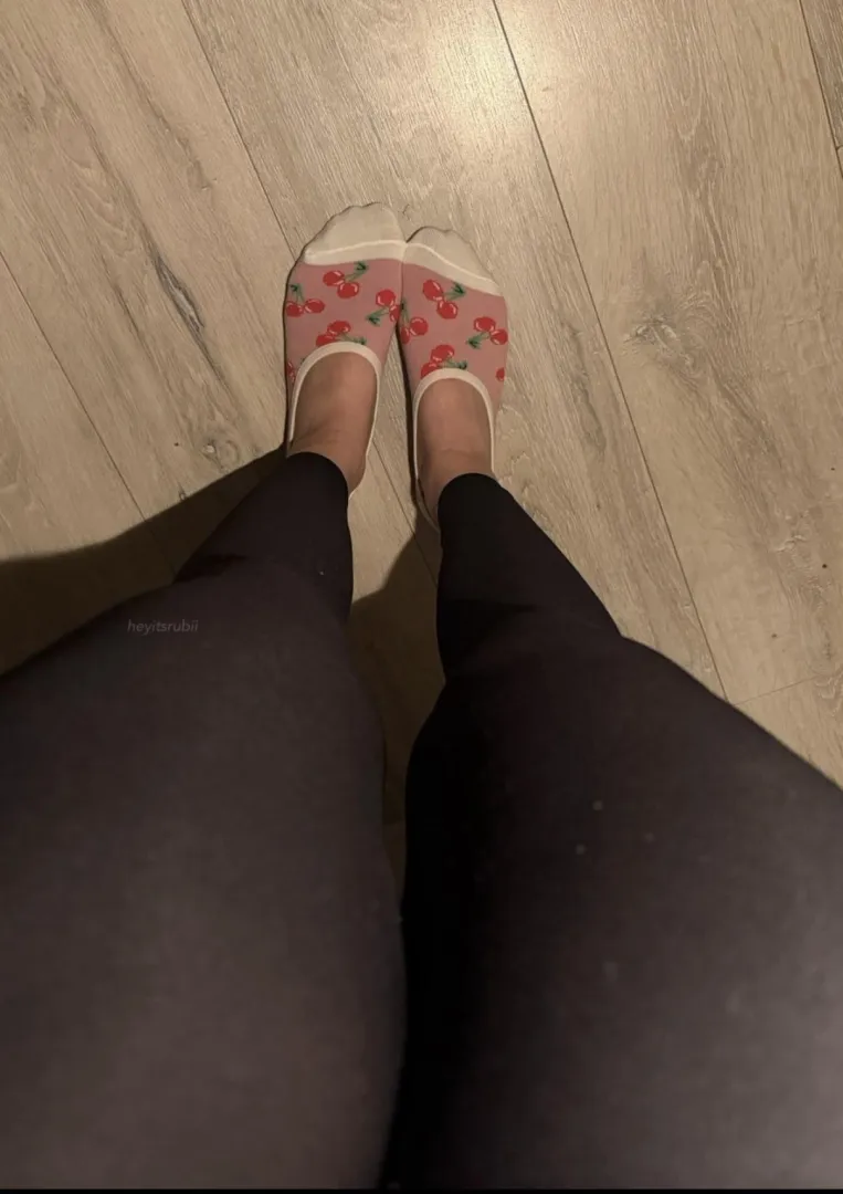 smelly vans socks [f]