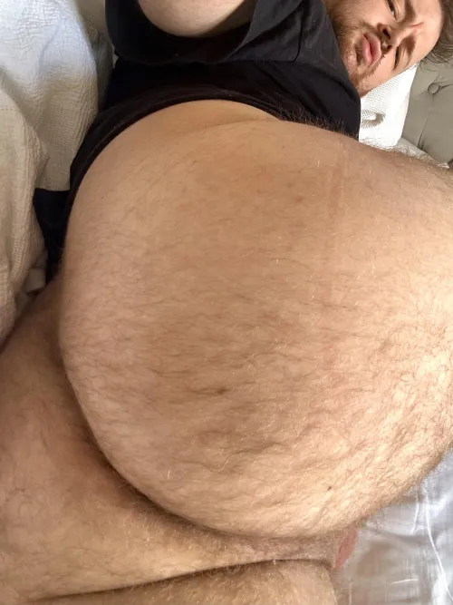 Sniff this hairy ass
