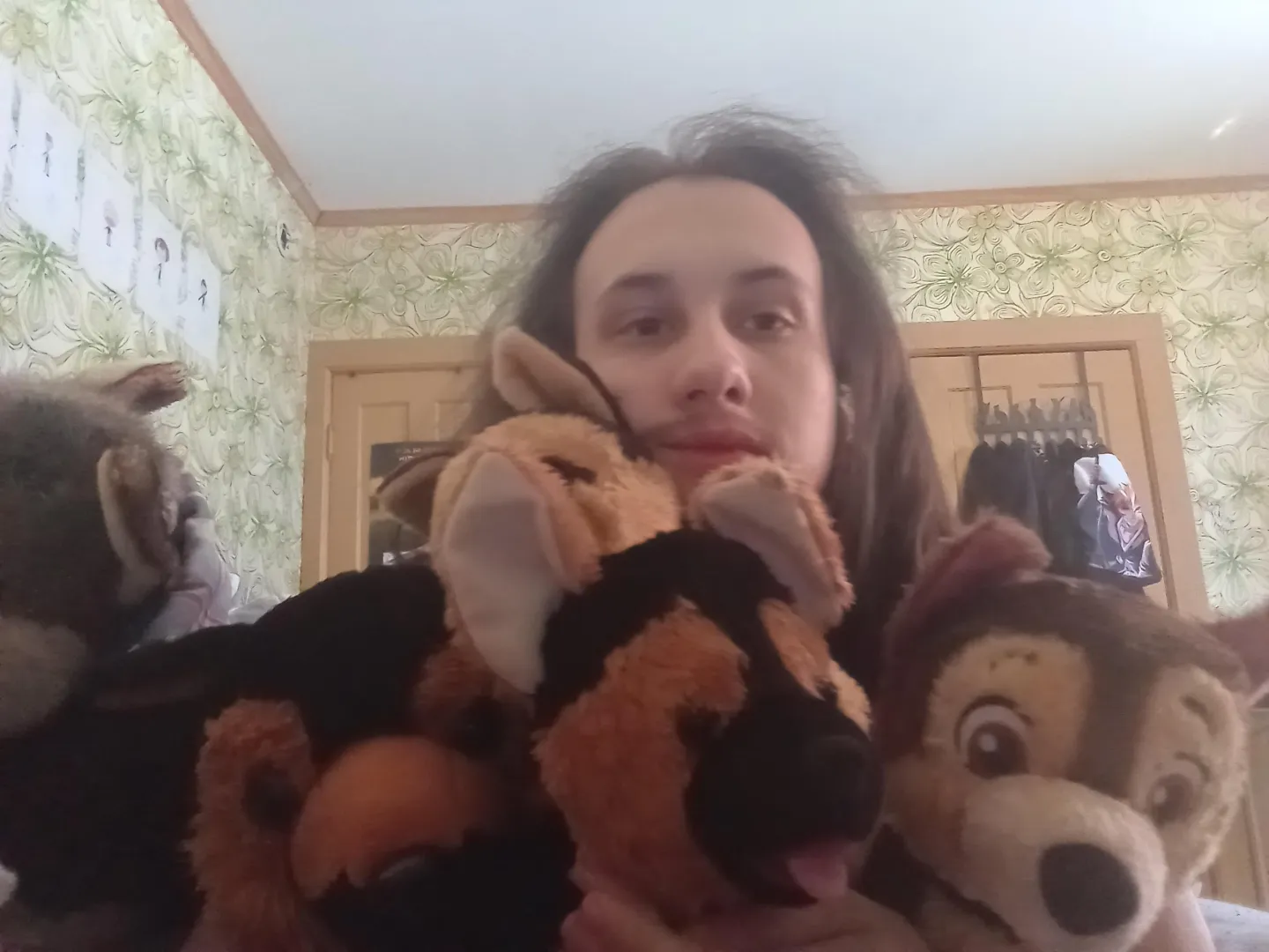 [Snuggle Saturday] Cuddling with some of my German Shepherd plushies.