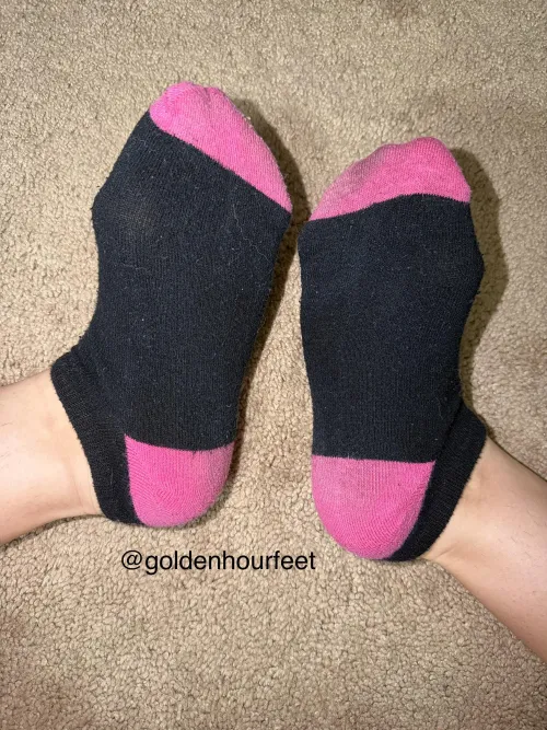 So close you can almost smell them