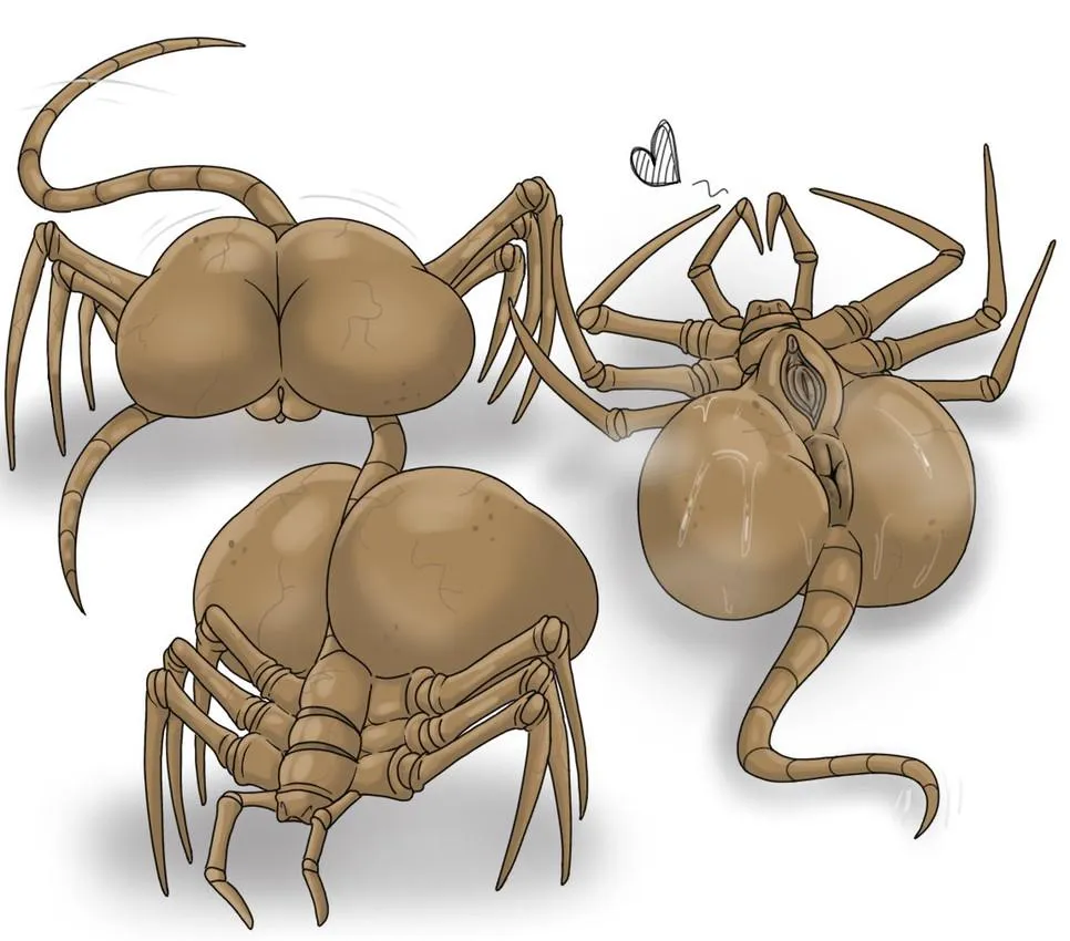 So what, its free (Japansadface)