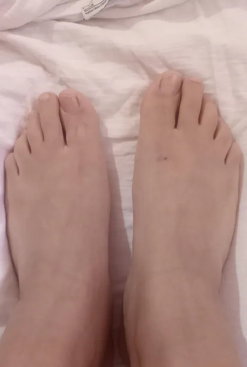 Soft natural feet  es mi primera vez publicado mis fotos de pies, soy latina size 38. Consultas por DM.