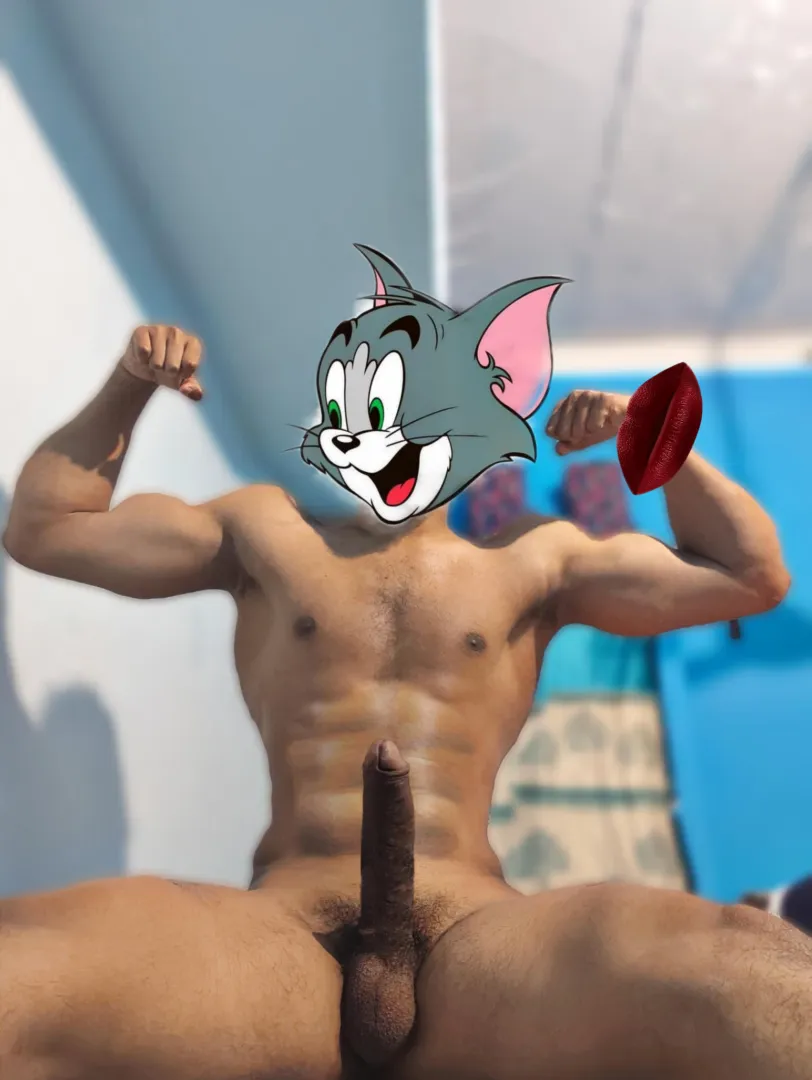 SOFTWOOD OR HARDWOOD 