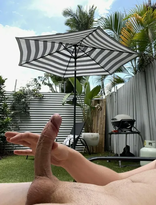 Somerton park area looking for today