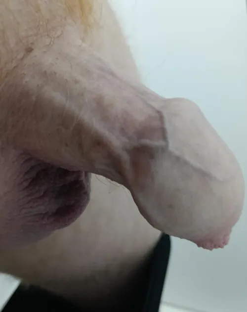 Something to give back