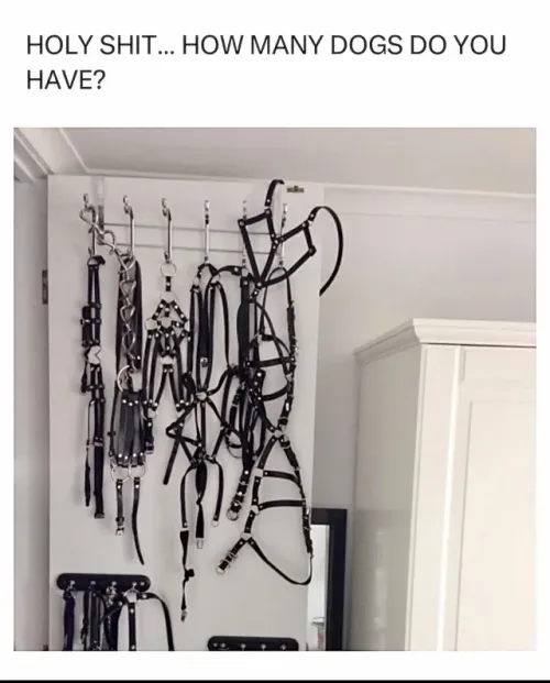 somethings sus here: