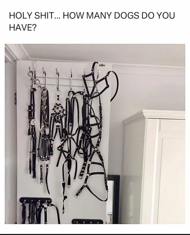 somethings sus here: