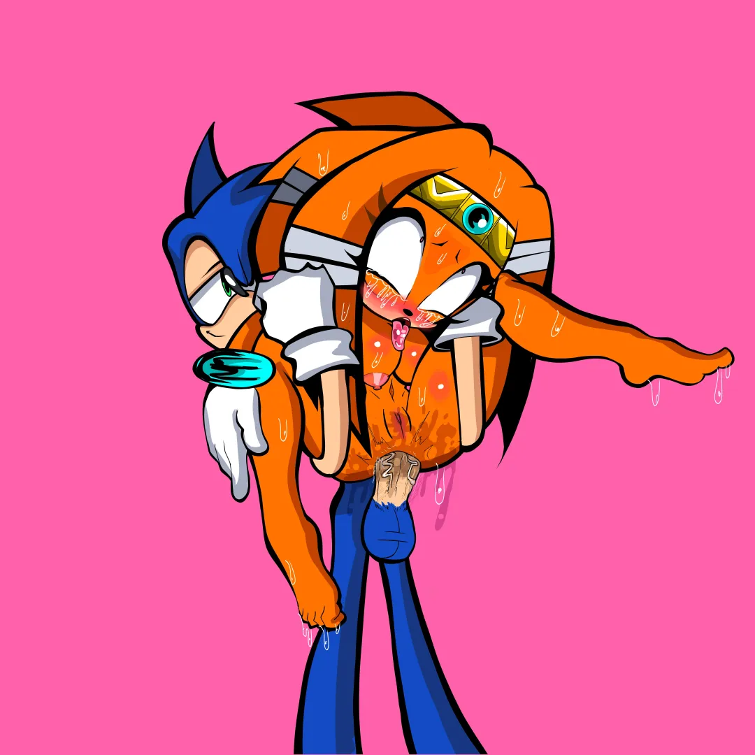 Sonic and Tikal (art by me)