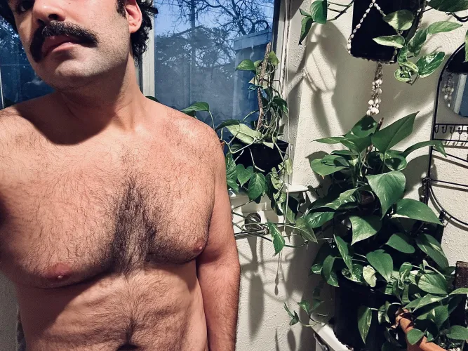 Spent all day bringing the plant gang indoors. ❄️