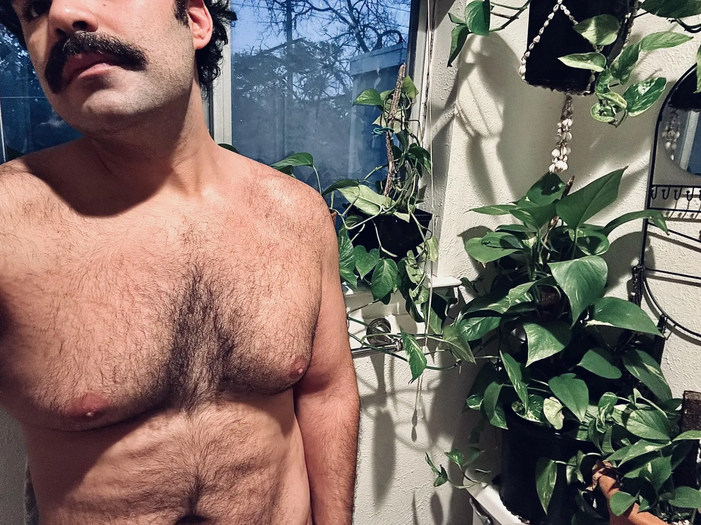 Spent all day bringing the plant gang indoors. ❄️