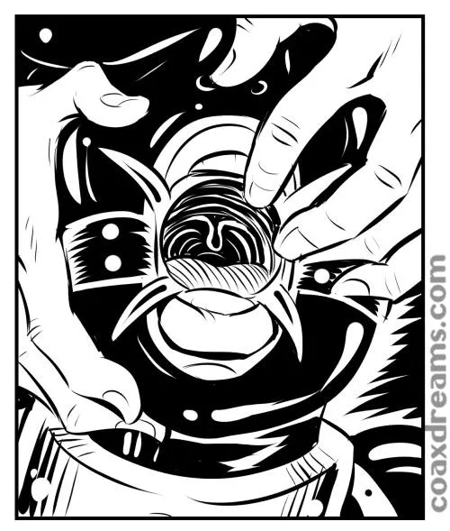 Spider Gag (Coaxdreams)