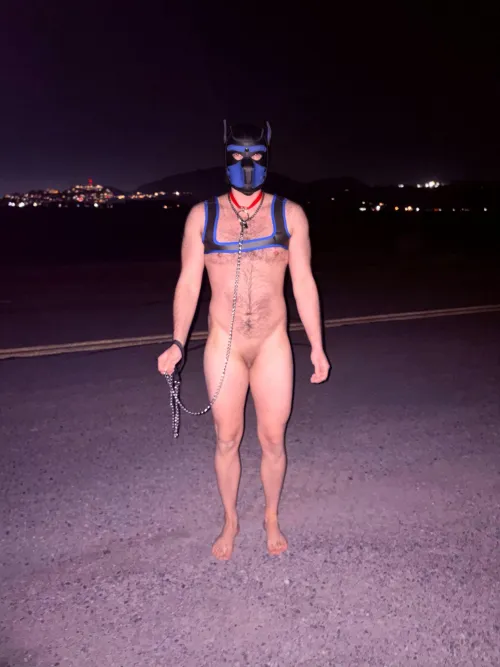 Spoiled puppy on his birthday