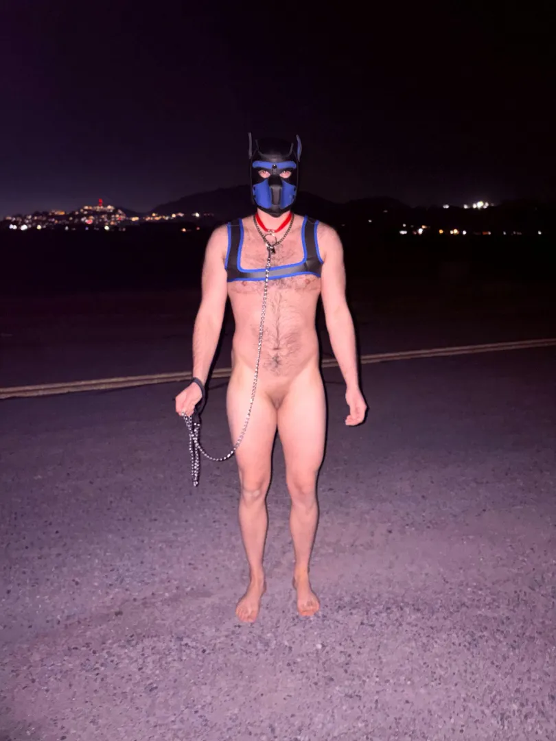 Spoiled puppy on his birthday