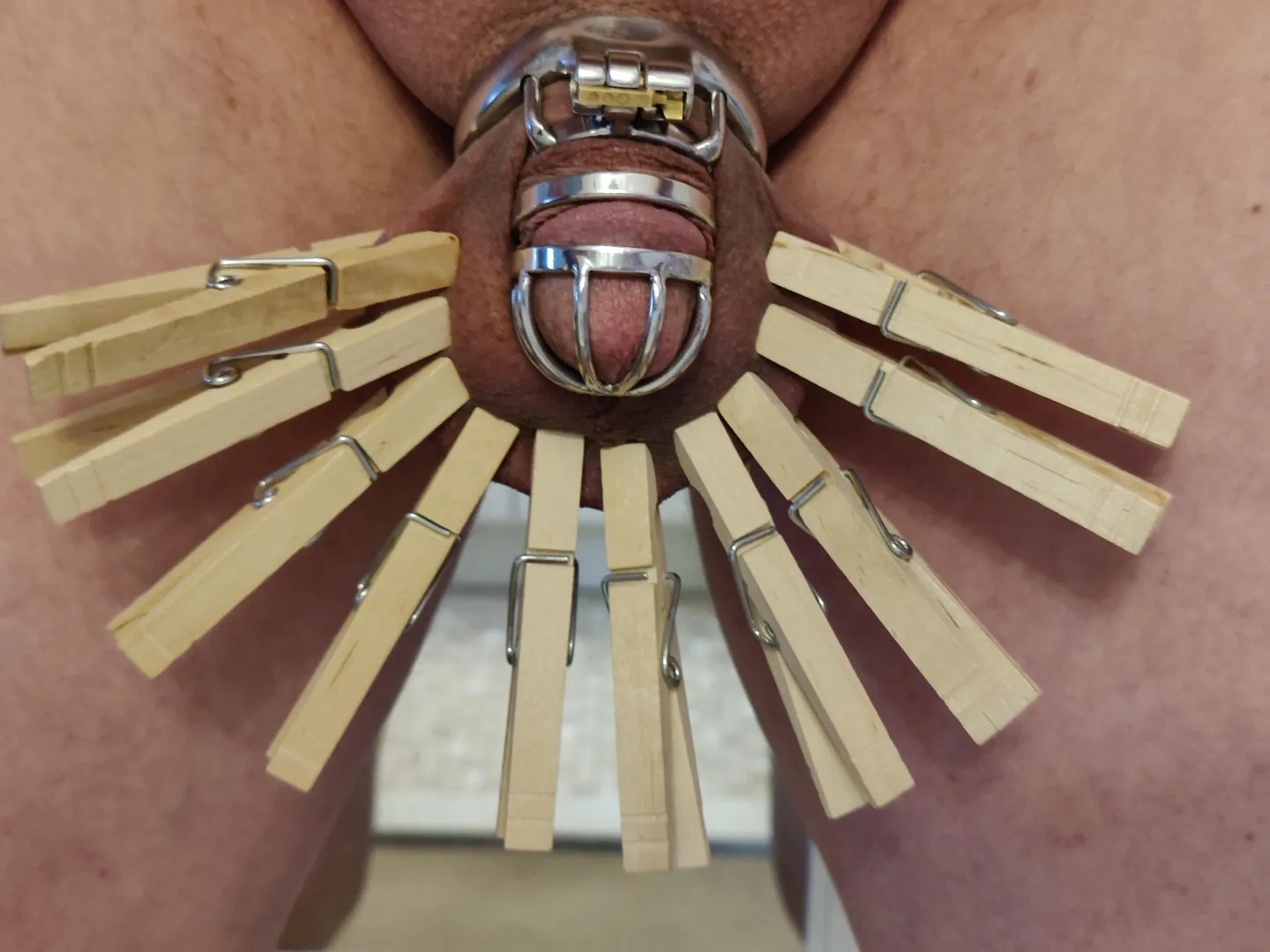 Standard plywood peacock