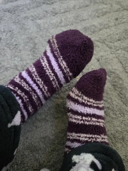 Striped fuzzy socks haunt your dreams  brat paws demand tribute