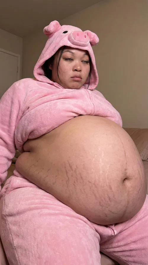 Stuffed Preggo Piggy