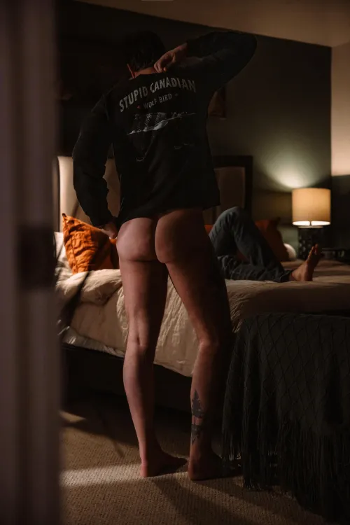 Stupid Canadian wolf bird