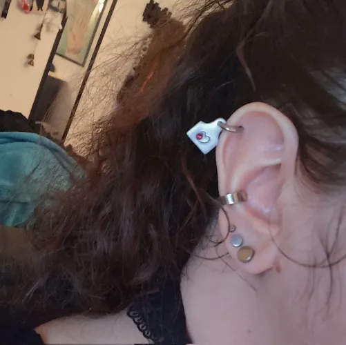 Subtle hucow accessory [OC]