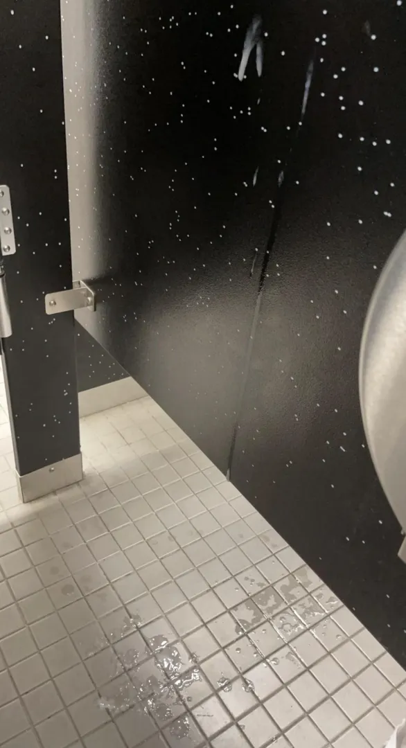 successful cruising day, no?