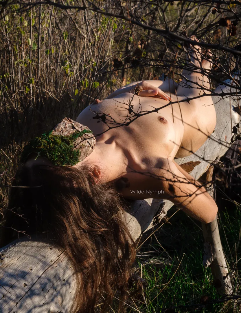 Sunbathing in the wild