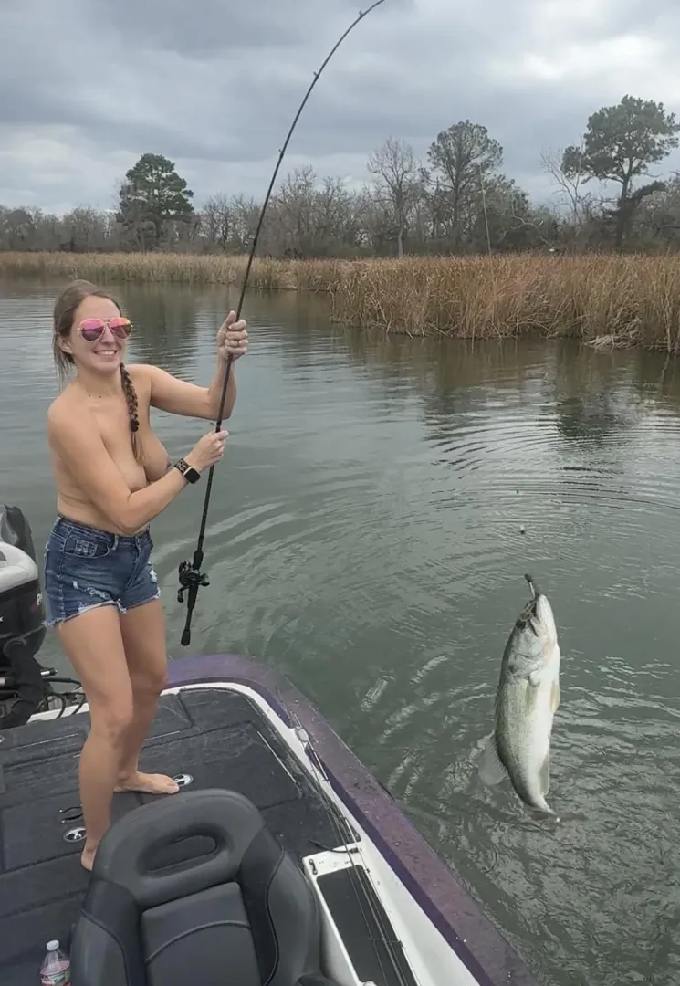 Suns out tits out yall