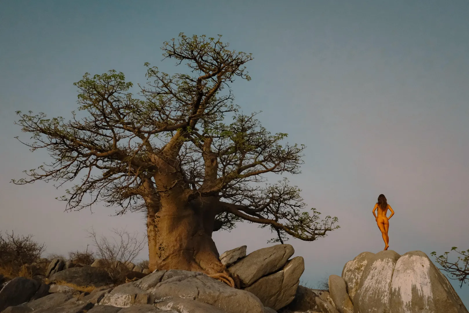 Sunset Among Ancient Baobabs