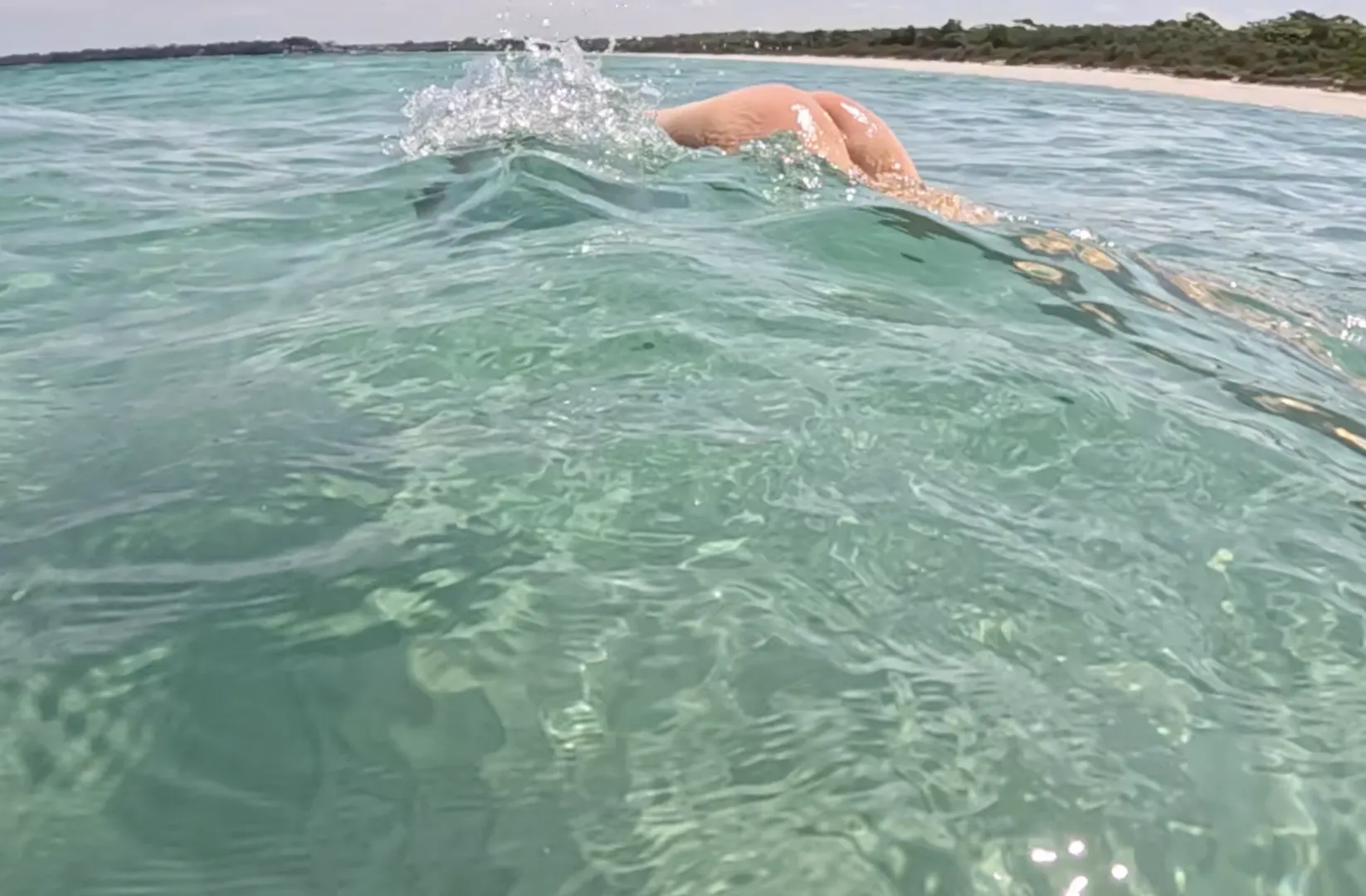 Swimming with waves all free