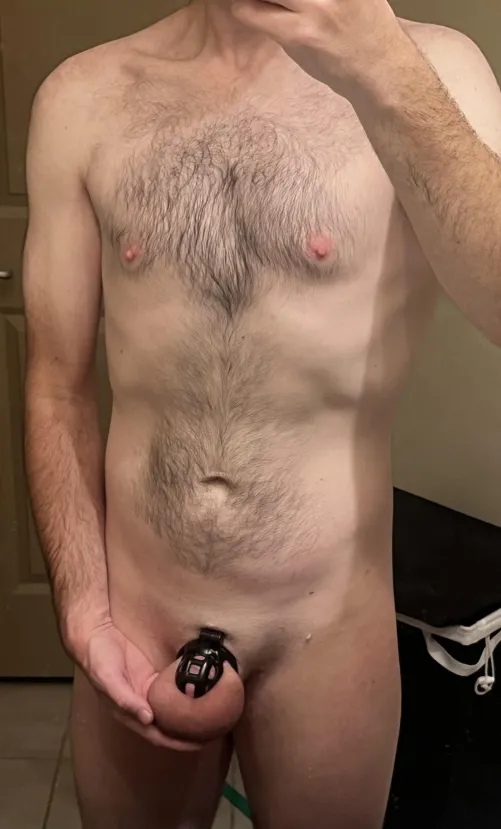 Swollen, heavy, denied balls