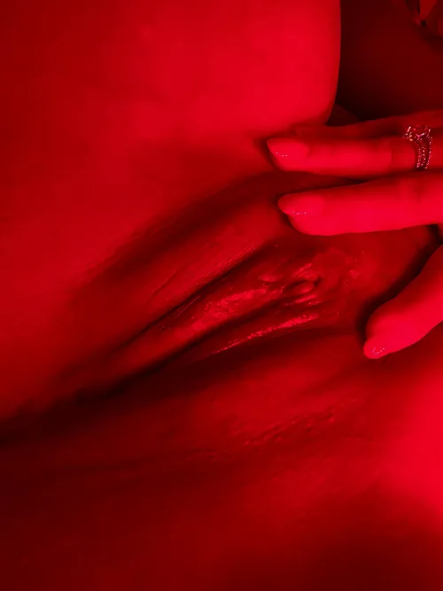 Taco Tuesday [MF4MF] southern NM