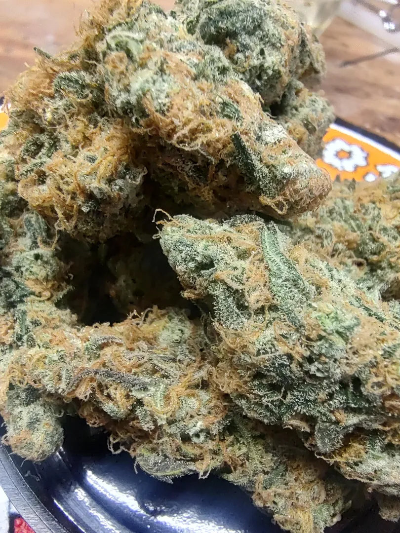 Temple Flo x Highland Thai Afghani. Blueberry