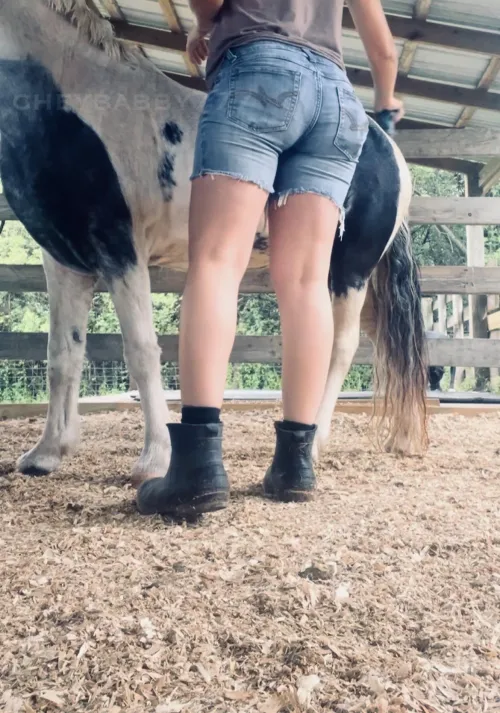 The barn chores never stop