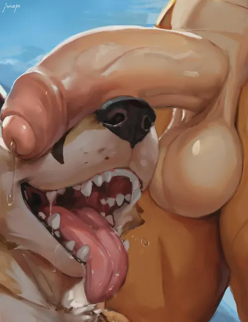 The best view (juiceps)